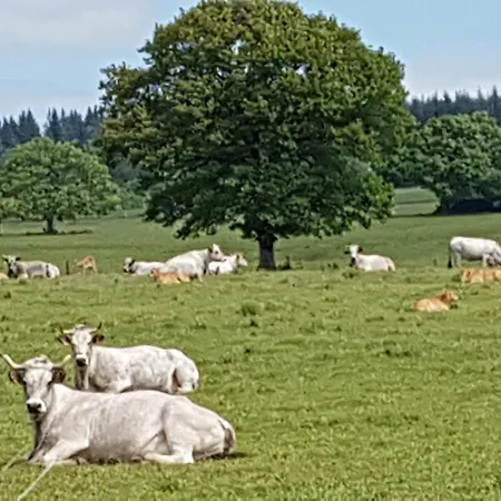 L'oeil De Carcassonne Semesterbostad Caudebronde