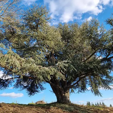 בית נופש L'oeil De Carcassonne Caudebronde