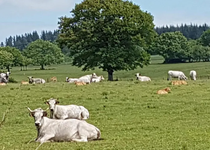 L'oeil De Carcassonne Ferienhaus Caudebronde