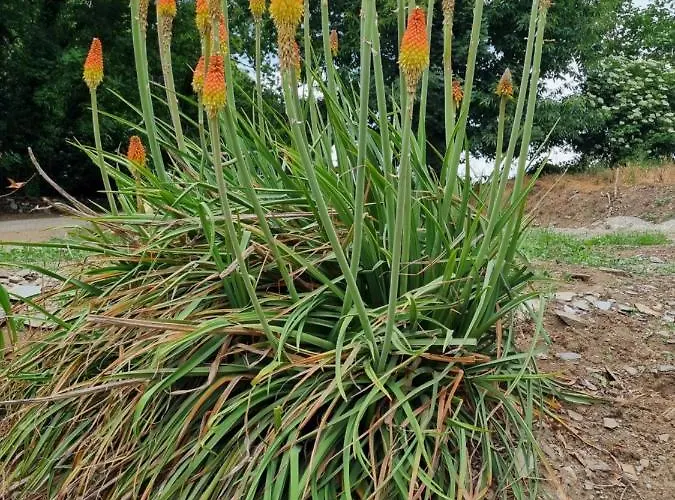 L'oeil De Carcassonne Ferienhaus