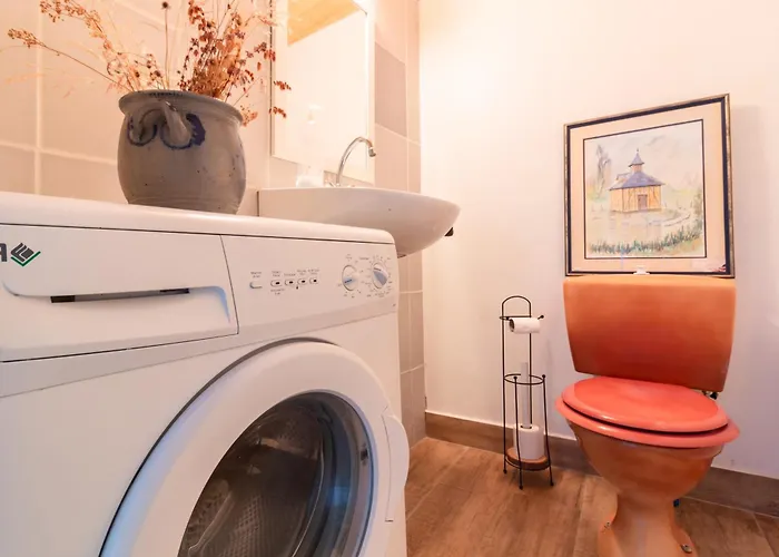 L'oeil De Carcassonne Ferienhaus *